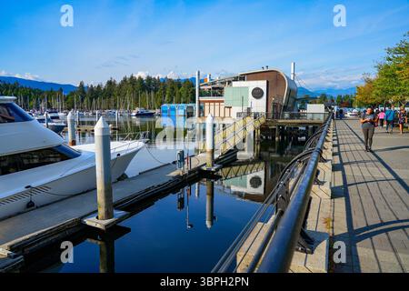 Bayshore West Marina neben dem Devonian Harbour Park in Downtown Vancouver, British Columbia, Kanada Stockfoto