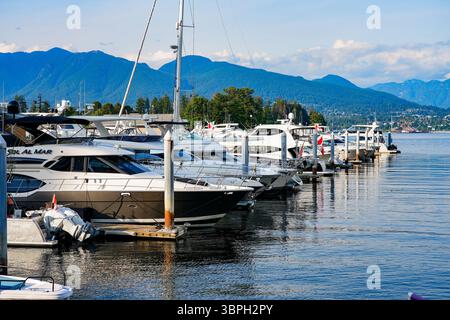 Boote legten in Bayshore West Marina vor dem Stanley Park in Downtown Vancouver, British Columbia, Kanada an Stockfoto
