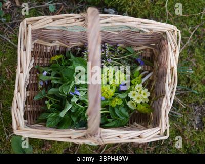 Ein Korb voller Kräuter und Blumen steht auf dem Boden Stockfoto