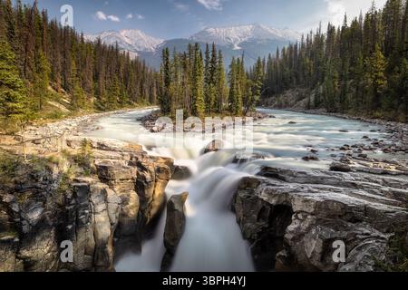 Blick auf rauschende Wildwasserkaskaden über felsige Felsvorsprünge, flankiert von dichten immergrünen Wäldern und schneebedeckten Bergen in der Ferne, Jasper, Alberta, Stockfoto