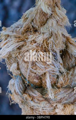 Aus nächster Nähe einen eng verschnürten Knoten aus Naturfaserseil, der die komplizierten Texturen und ausgefransten Enden zeigt. Stockfoto