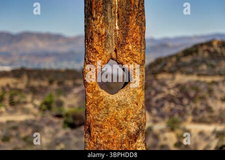 Landschaft entlang der Wanderwege des Griffith Park in Los Angeles Stockfoto