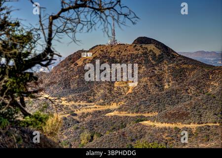 Landschaft entlang der Wanderwege des Griffith Park in Los Angeles Stockfoto