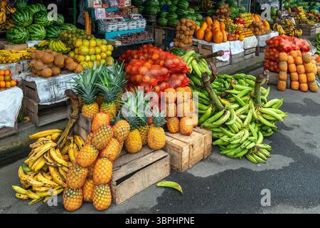 Obstmarkt mit Ananas, Banane, Wassermelonen und anderen tropischen Früchten, Ecuador, Südamerika. Stockfoto