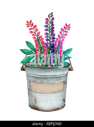 Rosafarbene und violette Lupinenblüten, grüne Blätter in einem antiken weißen Emaileimer mit einem Vintage-Etikett für die Inschrift. Isolierte handgezeichnete Aquarellklammerkunst. Stockfoto