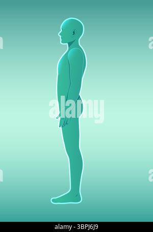 Vektorillustration einer menschlichen Silhouette in einem Profil mit einem verlaufendem Hintergrund, die anatomische Form und Einfachheit hervorhebt Stock Vektor