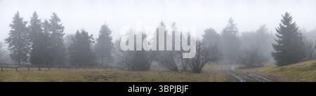 Panoramaaufnahme der nebelbedeckten, frostigen Baumlandschaft auf dem Großen Feldberg, Taunus, Hessen, Schmitten, Deutschland, Europa Stockfoto