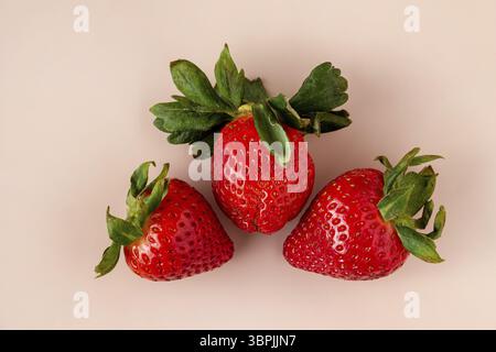 Drei saftige, reife Erdbeeren liegen auf beigefarbenem Hintergrund Stockfoto