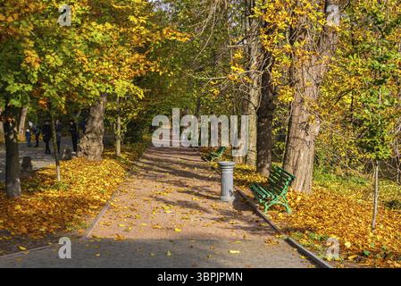 Gasse im Sofijewski Arboretum oder Sofiyivsky Park in Uman, Ukraine, an einem sonnigen Herbsttag, Uman, Ukraine, Europa Stockfoto