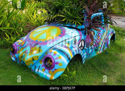 VW-Käfer mit Pflanzen bewachsen Stockfoto