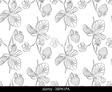 Nahtloses Muster von linearen schwarzen und weißen Erdbeerzweigen mit Beeren, Blättern und Blüten. Ideal für Verpackungen, Hintergründe und Objektdesign. Stock Vektor