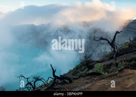 Blick auf eine ätherische Landschaft aus türkisfarbenem Wasser, umgeben von Nebel mit zerklüfteten Klippen und verbrannten Bäumen, die nach außen reichen, Ijen-Vulkankrater, Ost-Java, Stockfoto