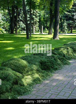 Frisch geschnittenes Gras säumt einen gepflasterten Weg in einem ruhigen Park, der von hohen Bäumen umgeben ist. Die Sonne wirft Licht über das üppige Grün Stockfoto