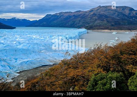 Perito Moreno Gletscher, der in den Argentino-See vordringt, mit Herbstlaub und den Anden im Hintergrund, Patagonien Stockfoto
