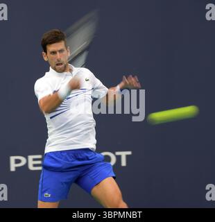 24. März 2019, Miami Gardens, Florida, Vereinigte Staaten von Amerika: MIAMI GARDENS, FLORIDA - 24. MÄRZ: Novak Djokovic aus Serbien besiegt Federico Delbonis aus Argentinien am 7. Tag der Miami Open präsentiert von Itau im Hard Rock Stadium am 24. März 2019 in Miami Gardens, Florida. (Kreditbild: © SMG via ZUMA Wire) Stockfoto