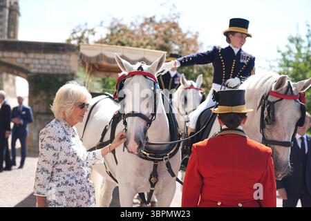 Königin Camilla in Windsor Castle, Berkshire, am zweiten Tag des Staatsbesuchs des französischen Präsidenten in Großbritannien. Bilddatum: Mittwoch, 9. Juli 2025. Stockfoto