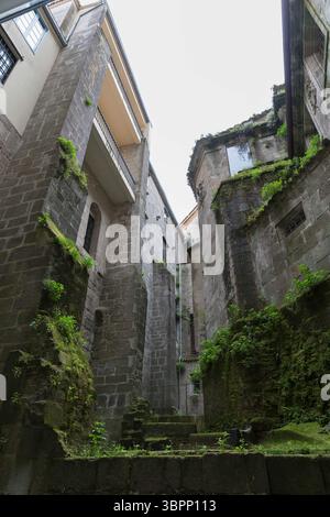 30. Mai 2018, Santiago de Compostela, Galicien, Spanien: Vegetation wächst auf den Stützen des Palacio de GelmÃ­rez und der Kathedrale von Santiago de Compostela in Galicien, Spanien. Die Stadt ist der Endpunkt des Jakobsweges, der alten katholischen Pilgerfahrt zur angeblichen Begräbnisstätte des Heiligen Jakobus des Großen. (Foto: © Paul Christian Gordon/ZUMA Wire) Stockfoto