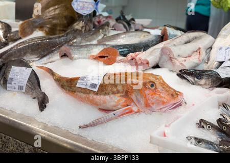 30. Mai 2018, Santiago de Compostela, Galicien, Spanien: Frischer Fisch im Mercado de Abastos in Santiago de Compostela, Spanien. Die Stadt ist der Endpunkt des Jakobsweges, der alten katholischen Wallfahrt zur angeblichen Begräbnisstätte des Heiligen Jakobus des Großen in der Kathedrale von Santiago de Compostela. (Foto: © Paul Christian Gordon/ZUMA Wire) Stockfoto
