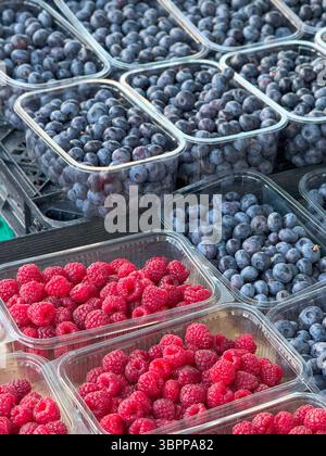 Marktpräsentation frischer Heidelbeeren und Himbeeren in Kunststoffbehältern Stockfoto