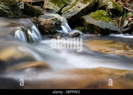 Der schnelle Gebirgsbach fließt über den felsigen Boden und bildet Kaskaden, clearwater Murmeln über Steine und moosbedeckte Felsen am Ufer Stockfoto