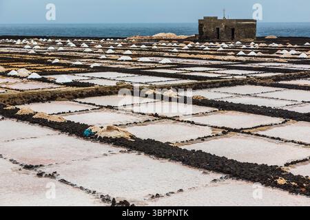 Haufen Salztrocknung, Salinas de los Agujeros, Los Cocoteros, Lanzarote, Kanarische Inseln, Spanien Stockfoto