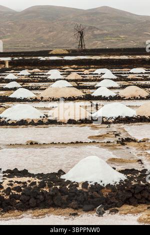Haufen Salztrocknung, Salinas de los Agujeros, Los Cocoteros, Lanzarote, Kanarische Inseln, Spanien Stockfoto