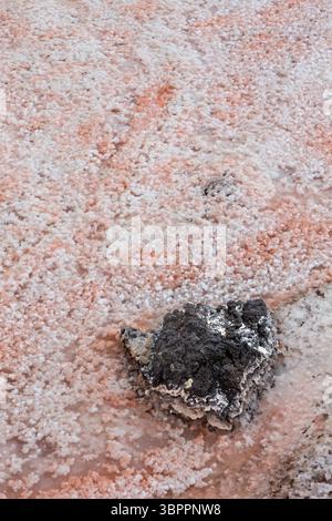 Kristalle bilden sich in Salinen, Salinas de los Agujeros, Los Cocoteros, Lanzarote, Kanarischen Inseln, Spanien Stockfoto