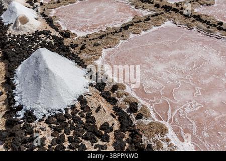 Trocknung der Salzhaufen auf den Salinen, Salinas de los Agujeros, Los Cocoteros, Lanzarote, Kanarischen Inseln, Spanien Stockfoto