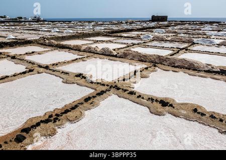 Trocknung von Weißsalz in Pfannen, Salinas de los Agujeros, Los Cocoteros, Lanzarote, Kanarischen Inseln, Spanien Stockfoto