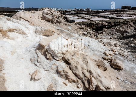 Salz aus Salinen, Salinas de los Agujeros, Los Cocoteros, Lanzarote, Kanarischen Inseln, Spanien Stockfoto