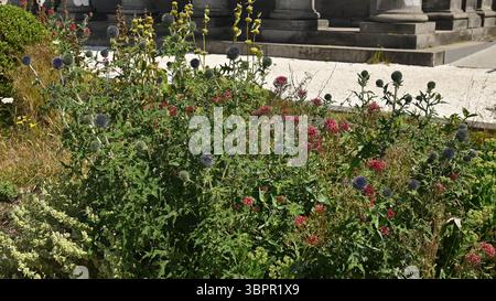 Edinburgh Schottland, Vereinigtes Königreich 09. Juli 2025. Calton Hill in Edinburgh bietet einen Blick auf die Stadt, einschließlich Sehenswürdigkeiten wie das Schloss. Stockfoto