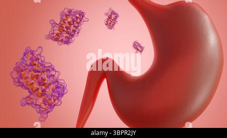 3D-Darstellung von Streuleptinmolekülen und menschlichem Magen. Stockfoto