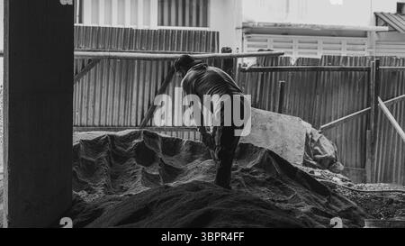 Ein Bauarbeiter, der Sand vor Ort manuell hackt, zeigt Entschlossenheit, körperliche Arbeit und Beharrlichkeit bei der Vorbereitung der Bodenarbeiten. Stockfoto