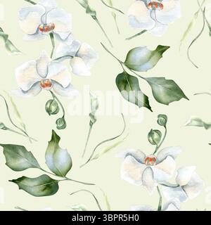Zarte weiße Blumen Aquarellmuster isoliert. Weiße Orchideen und Laub, stechpalmenzweige handgezeichnet. Neutral botanisch wiederholt Stockfoto