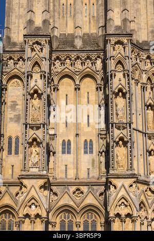 Detail der Westfassade, Wells Cathedral, England, Großbritannien Stockfoto