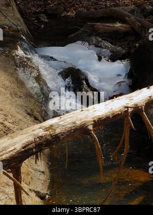 Eis im kleinen Wasserfall im Fall Creek im Mayo River State Park, North Carolina, USA Stockfoto