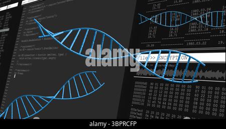 Zeigt große leuchtend blaue DNA-Helix, die auf der digitalen Benutzeroberfläche mit Code, Verschlüsselung und Signalform schwimmt Stockfoto