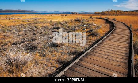 Holzpfad schlängelt sich durch trockene Landschaft in Richtung des ruhigen Wassers des Mono Lake Stockfoto
