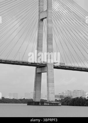 Phú Mỹ-Brücke über den Saigon-Fluss in Ho-Chi-Minh-Stadt, Vietnam Stockfoto