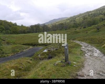 Glen Falloch, Loch Lomond und der Trossachs National Park, Scottish Highlands, 30. Mai 2011. Der West Highland Way auf einer groben Strecke entlang des glen Stockfoto