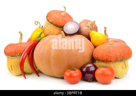 Schöne Komposition von verschiedenen Kürbissen und anderem Gemüse isoliert auf weißem Hintergrund. Stockfoto