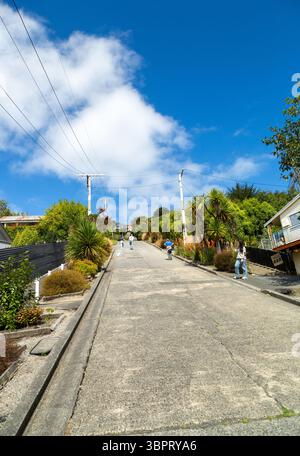 Baldwin Street, die steilste Straße der Welt mit einer Steigung von 34 %, ist heute ein beliebter Touristenort in Dunedin, Neuseeland Stockfoto