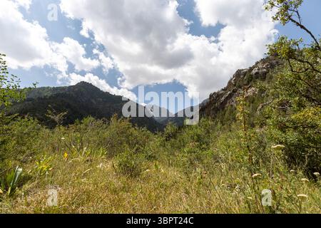 Atemberaubender Blick auf Sommerverge im Sairam-Ugam-Nationalpark unter blauem Himmel mit Wolken. Natürliche Harmonie und malerische Wildnis von Kasachstan. Stockfoto