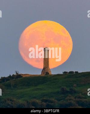 Portesham, Dorset, Großbritannien. Juli 2025. Wetter in Großbritannien. Der fast volle Buck-Mond erhebt sich hinter dem Hardy Monument in der Nähe von Portesham in Dorset in den klaren Abendhimmel. Das Denkmal in Form eines Teleskops wurde 1844 in Gedenken an Vizeadmiral Sir Thomas Masterman Hardy errichtet, der Flaggenkapitän der HMS Victory in der Schlacht von Trafalgar war. Bildnachweis: Graham Hunt/Alamy Live News. Bildnachweis: Graham Hunt/Alamy Live News Stockfoto