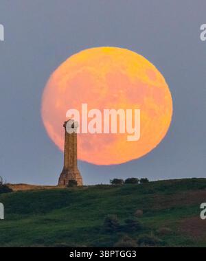 Portesham, Dorset, Großbritannien. Juli 2025. Wetter in Großbritannien. Der fast volle Buck-Mond erhebt sich hinter dem Hardy Monument in der Nähe von Portesham in Dorset in den klaren Abendhimmel. Das Denkmal in Form eines Teleskops wurde 1844 in Gedenken an Vizeadmiral Sir Thomas Masterman Hardy errichtet, der Flaggenkapitän der HMS Victory in der Schlacht von Trafalgar war. Bildnachweis: Graham Hunt/Alamy Live News. Bildnachweis: Graham Hunt/Alamy Live News Stockfoto