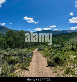 Der Gewundene Dirt Trail Durch Die Üppige Mountain Wilderness Unter Dem Blauen Himmel Stockfoto