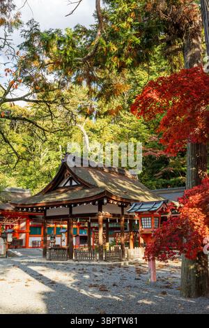Eine ruhige Szene der traditionellen Halle mit Strohdach des Yoshida-Schreins, umgeben von leuchtendem Rot-Gelb-Herbstlaub. Sakyo-ku, Kyoto, Japan. Stockfoto