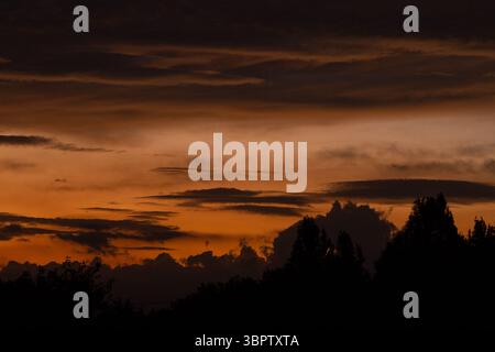 Ein farbenfroher, bewölkter Sonnenaufgang über einem Baum in Kanagawa, Japan. Stockfoto