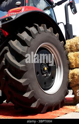 Ein Rad von einem großen roten Traktor vor einem Hintergrund von Heu. Landmaschinen. Mit Bolzen versehene Räder Stockfoto