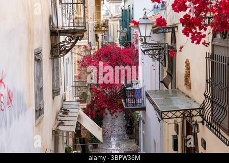 Nafplion Griechenland - Mai 30 2025: Bougainvillea Blumen hängen an Gebäuden in einer Gasse in Nafplion Griechenland Stockfoto